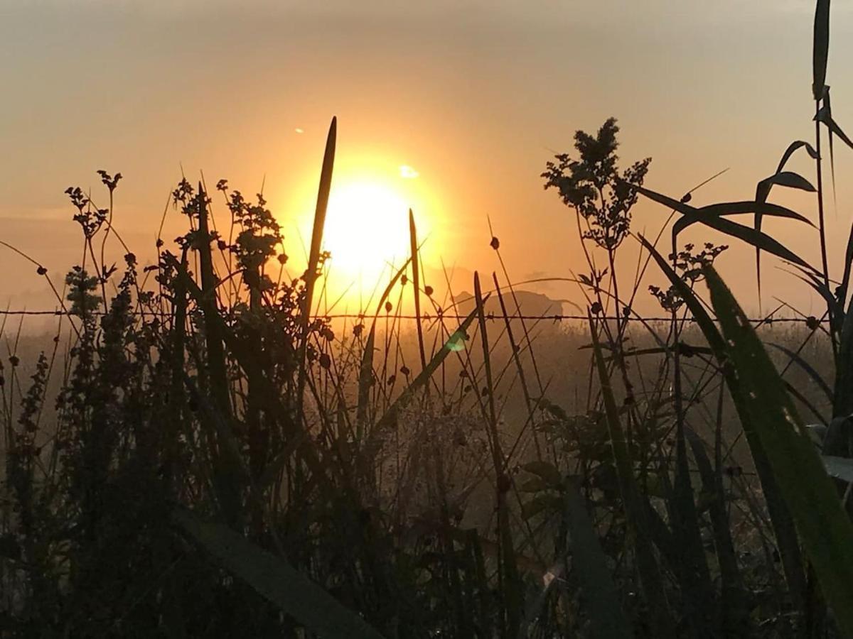 Zomerdijk-Inn Zuid Wanneperveen Bagian luar foto