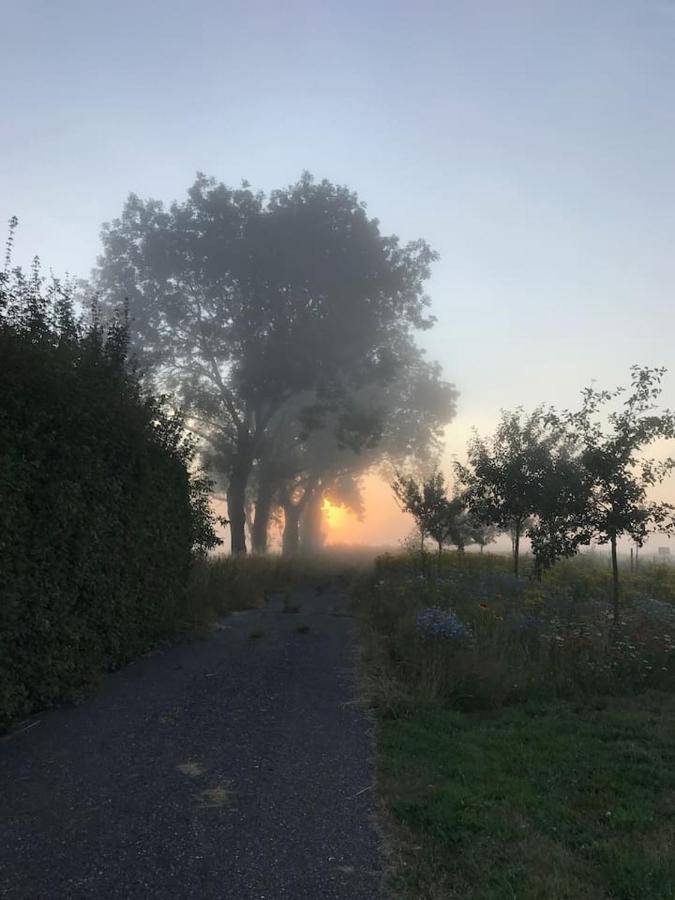 Zomerdijk-Inn Zuid Wanneperveen Bagian luar foto